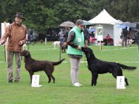 11217553 10207662499989939 3902145246445679565 n  12 Sep 2015 - NE retrievers