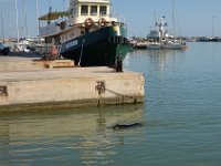 Biondo-20160829-tuffo-1  Sequence dive - 1