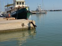 Biondo-20160829-tuffo-2  Sequence dive - 2