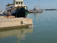 Biondo-20160829-tuffo-3  Sequence dive - 3
