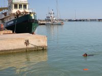 Biondo-20160829-tuffo-4  Sequence dive - 4