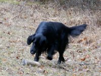 Jojo-10mar19-2
