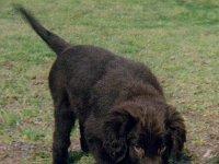 000220 1mod  20 Feb 2000 - Maron