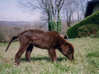 000415 1  15 Apr 2000