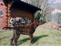 000415 2  15 Apr 2000