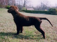 000415 3  15 Apr 2000