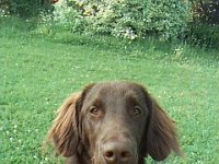 Image0001  10 June 2000