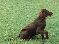 Image0002mod2  13 June 2000