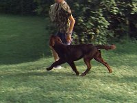 Image0008  10 June 2000